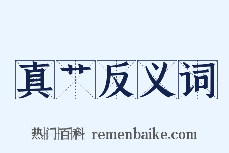 真艹反义词是什么意思的图片